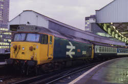50 004