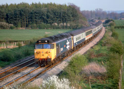 50 014