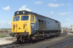 50016