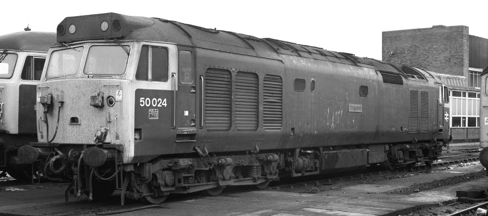 50 024