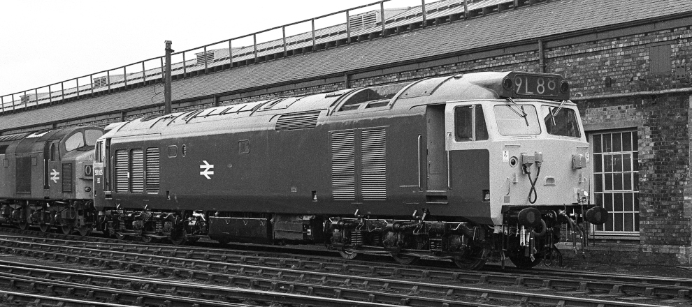50 025