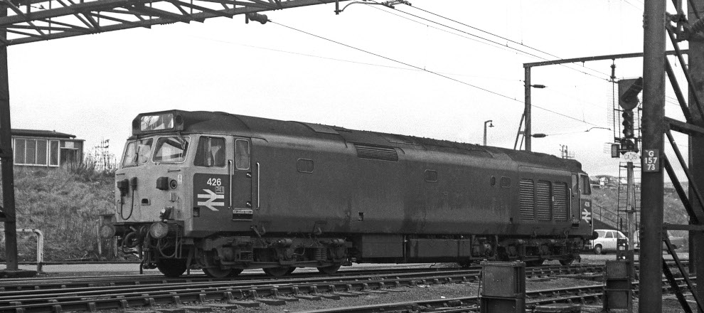 50 026