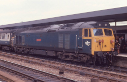 50 036