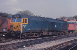50 037