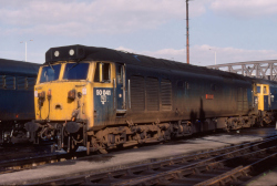 50 041