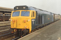 50 046