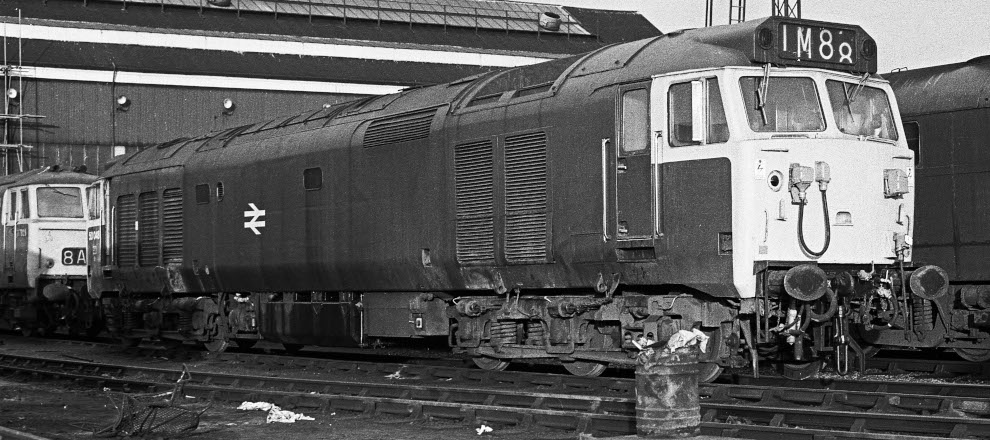 50 048